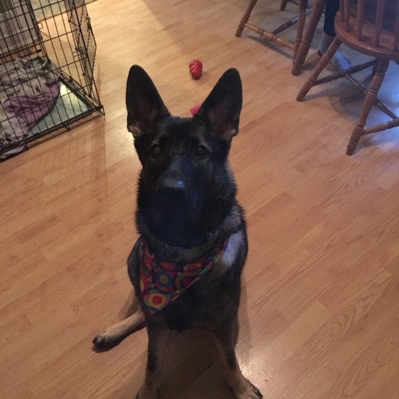 JULY SALE - 3 FOR $35 UNDER $40 SALE - Picture 8 of 11